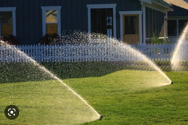 How a professional irrigation installation company can help you