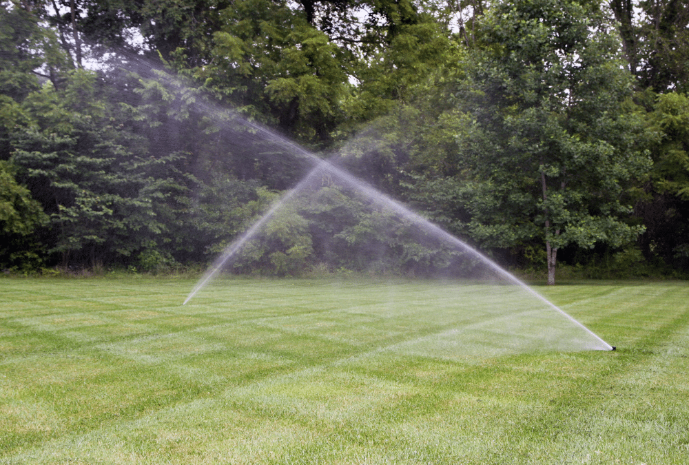 How to Choose the Right Irrigation System Company Near You