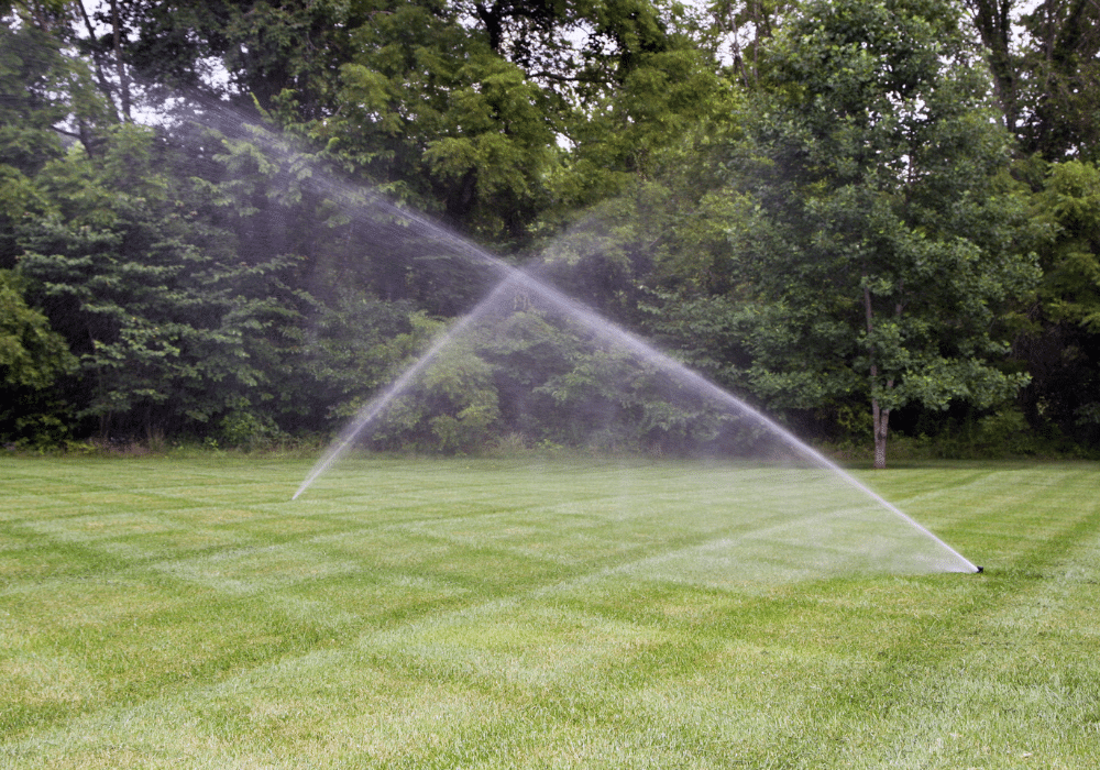 How to Choose the Right Irrigation System Company Near You