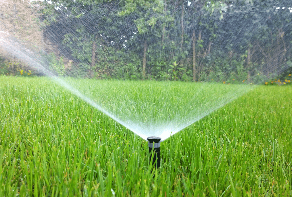 Mastering Lawn Irrigation: How to Install a Sprinkler System