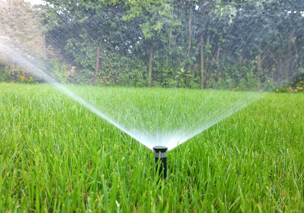 Mastering Lawn Irrigation: How to Install a Sprinkler System