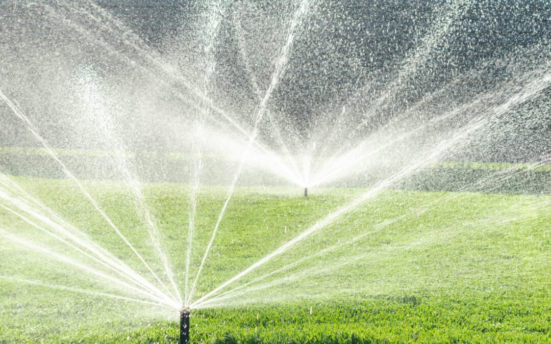 How to Choose the Right Irrigation System Installer Near You