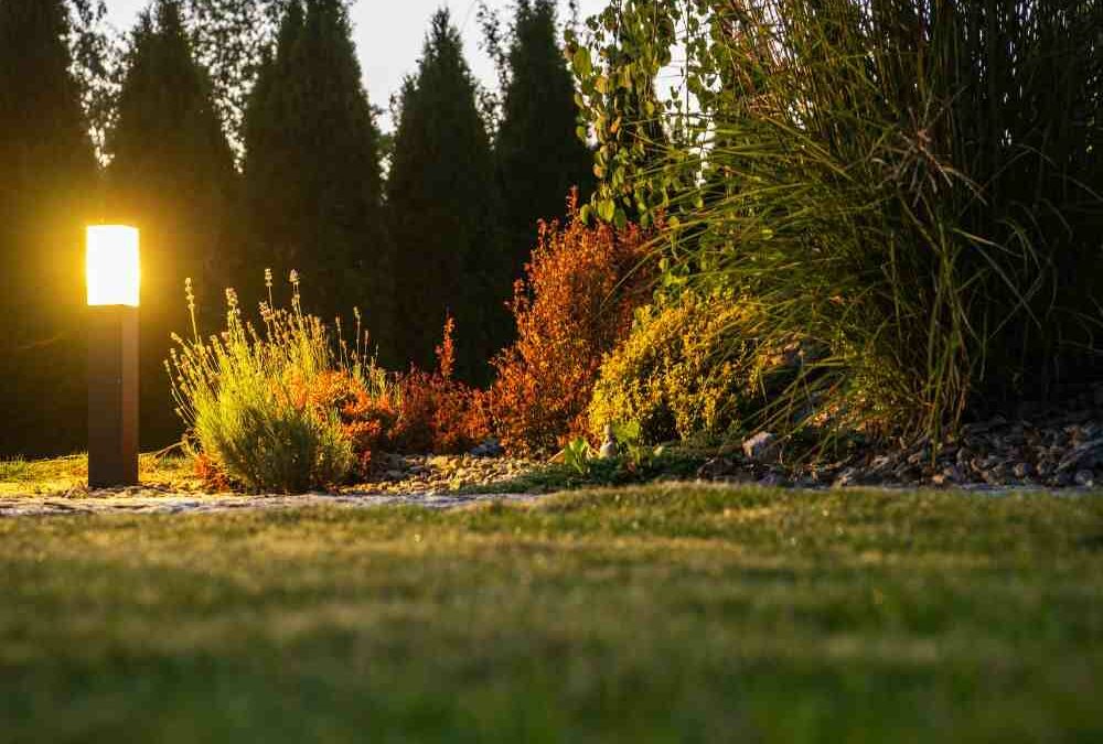 Your Guide to Local Landscape Lighting Companies