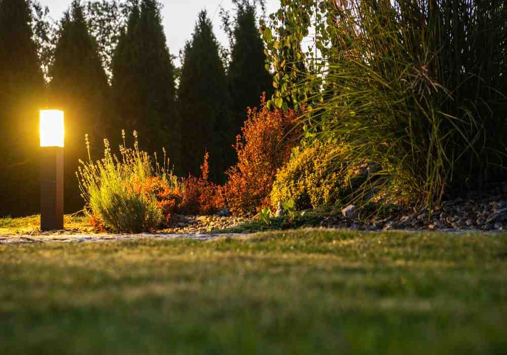 Your Guide to Local Landscape Lighting Companies