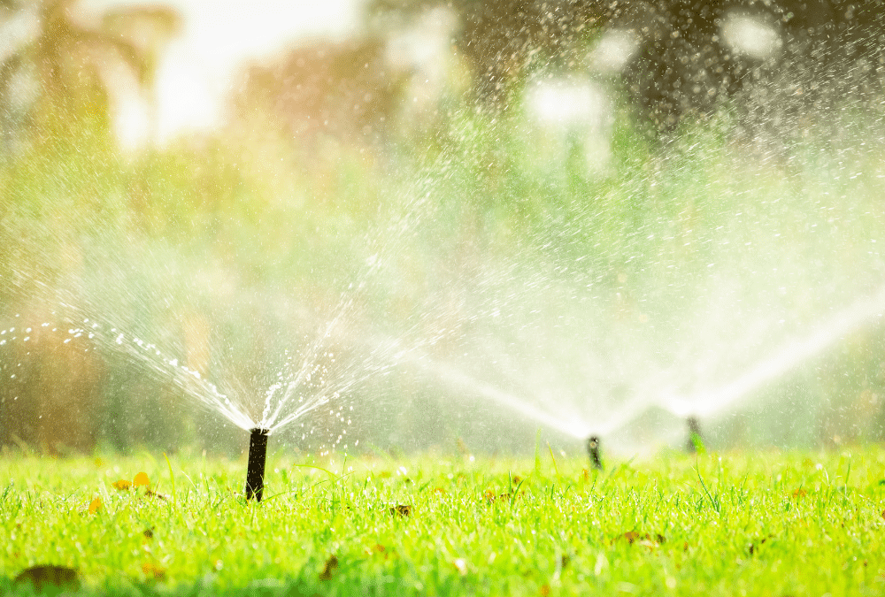 Step-by-Step Guide to Finding the Best Professional Irrigation Systems