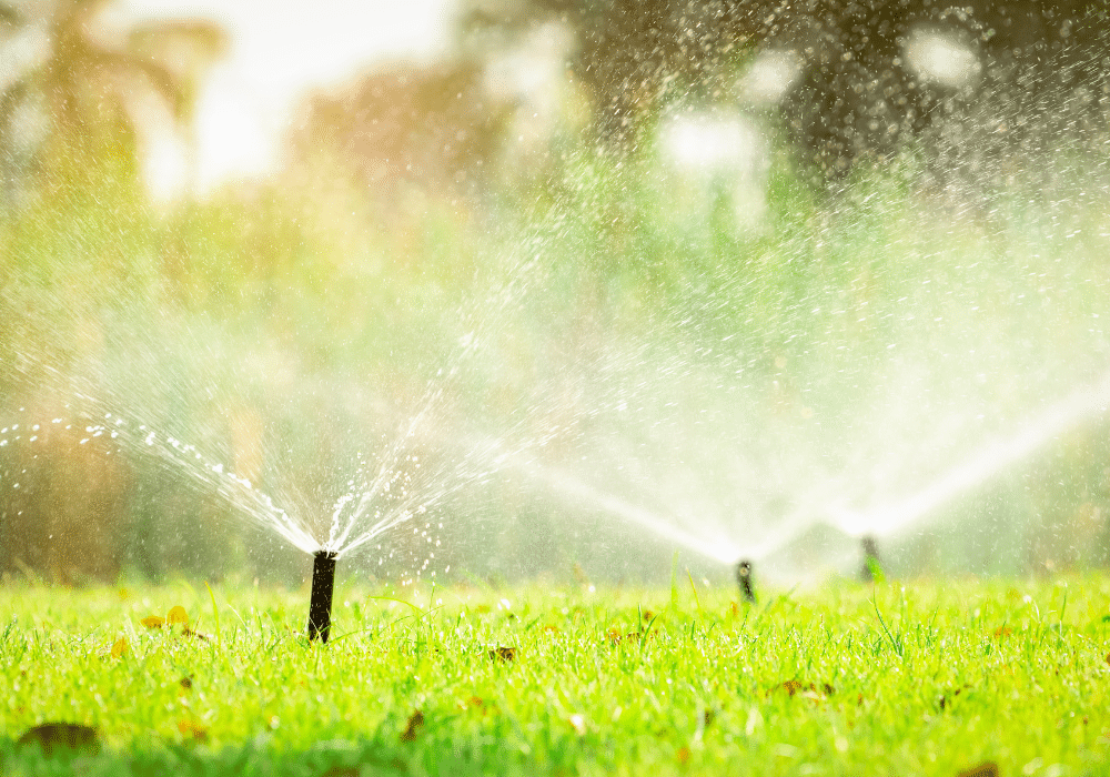 Step-by-Step Guide to Finding the Best Professional Irrigation Systems