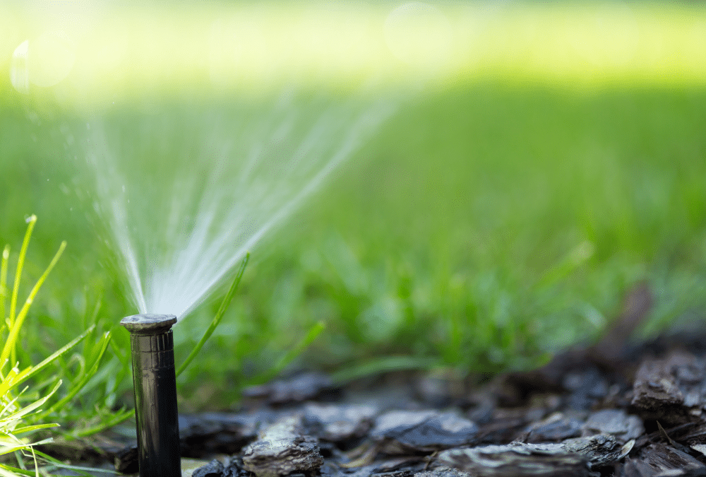 Detailed Guide to the Best Lawn Sprinkler Systems