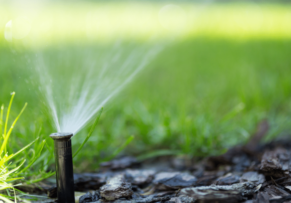 Detailed Guide to the Best Lawn Sprinkler Systems