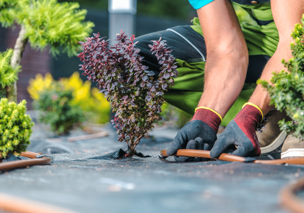 Efficient Watering: How to Install a Drip Irrigation System