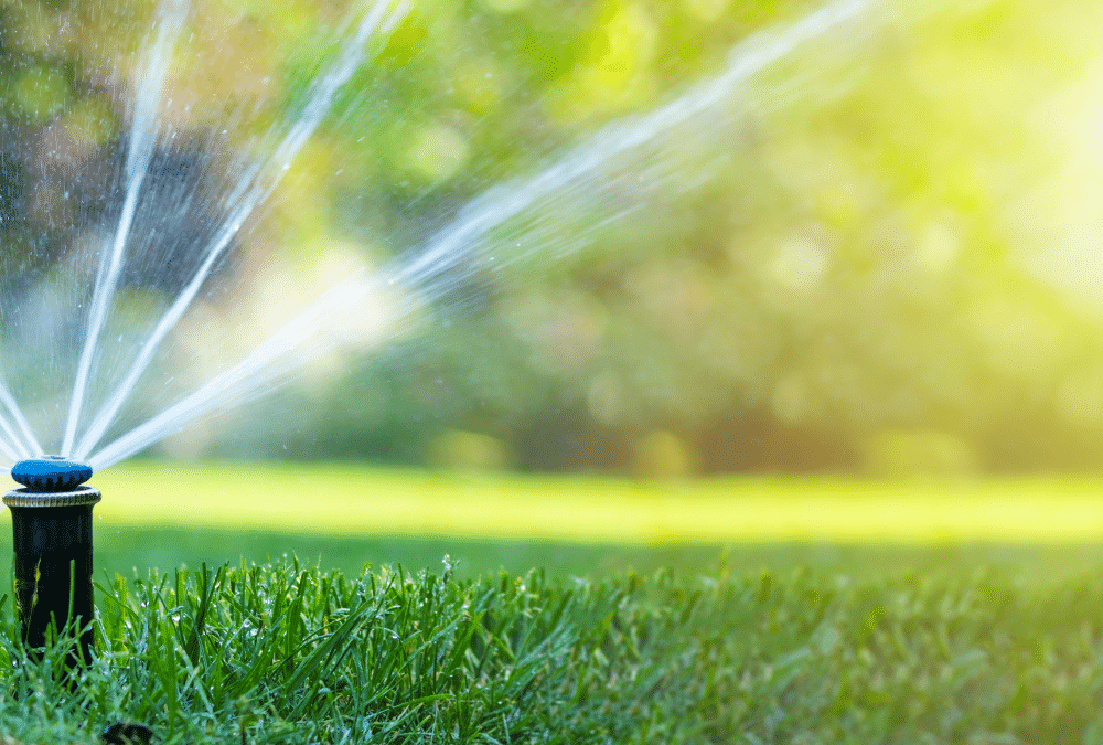 Troubleshooting and Fixing Lawn Sprinkler System Issues