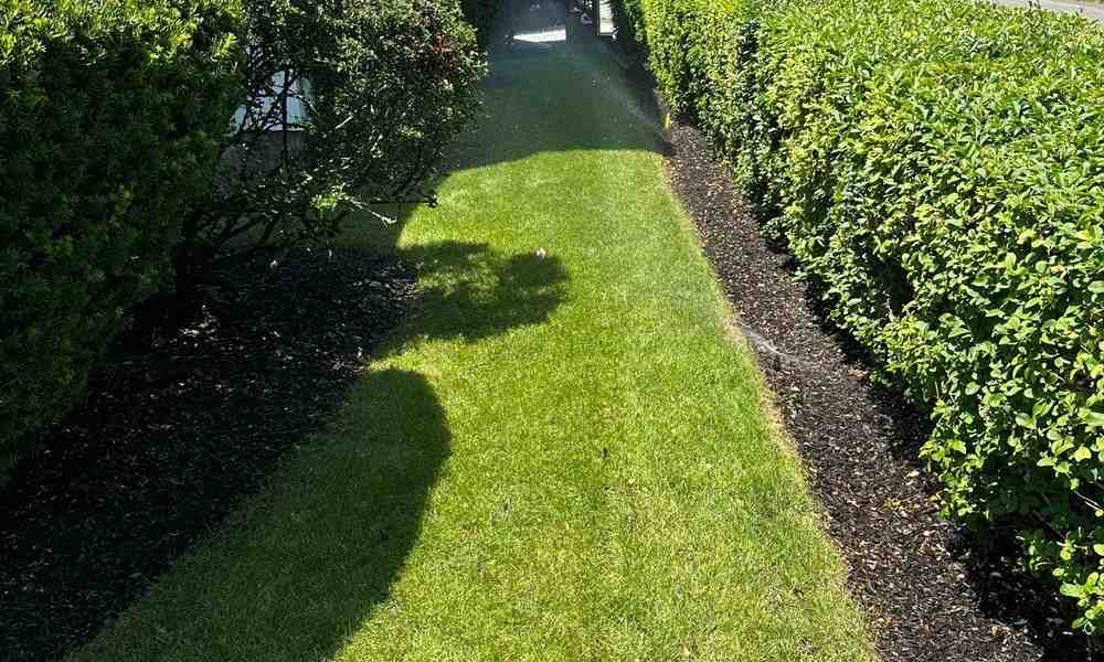 Lawn Care 101: How Often to Water with a Sprinkler System