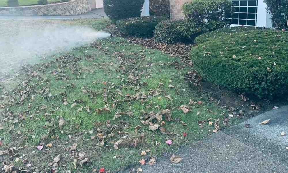 Protect Your Irrigation System: Finding Winterization Services Near You