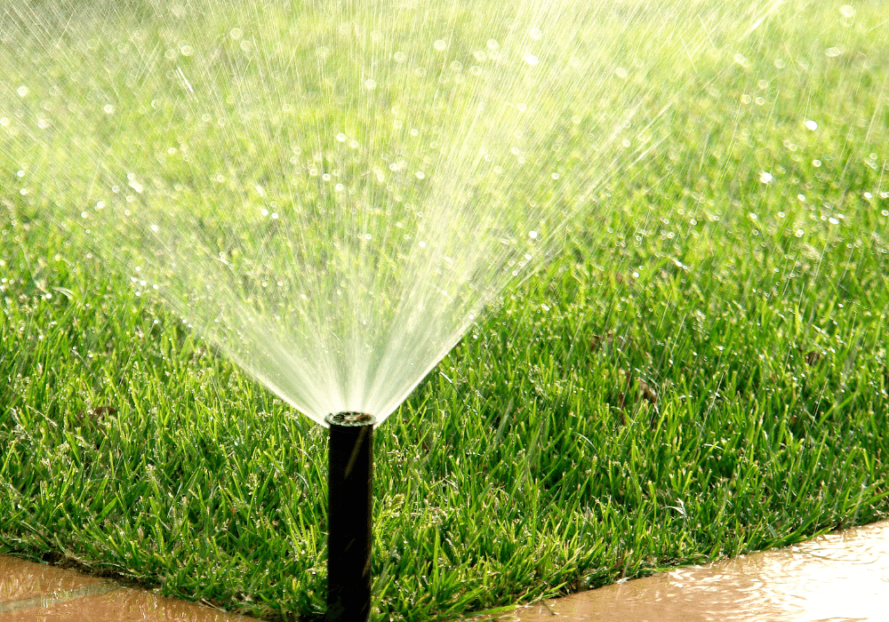 How to Find Reliable Lawn Sprinkler Services in Your Area