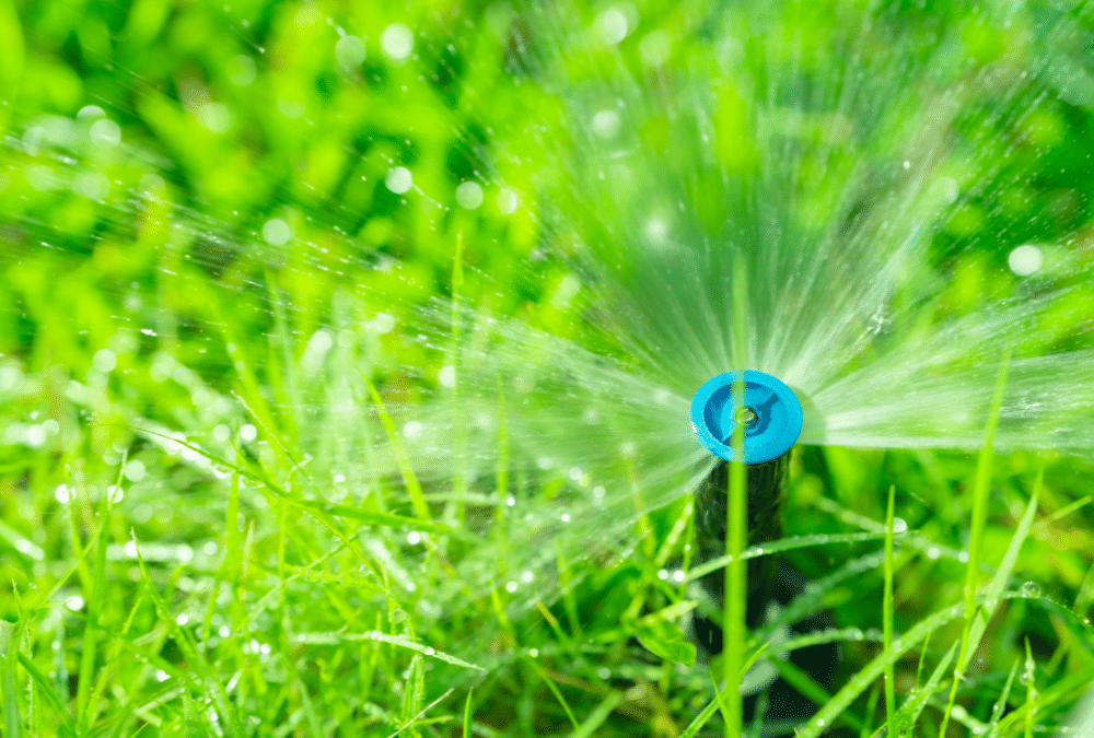 The Complete Guide to Finding the Best Lawn Sprinkler Systems