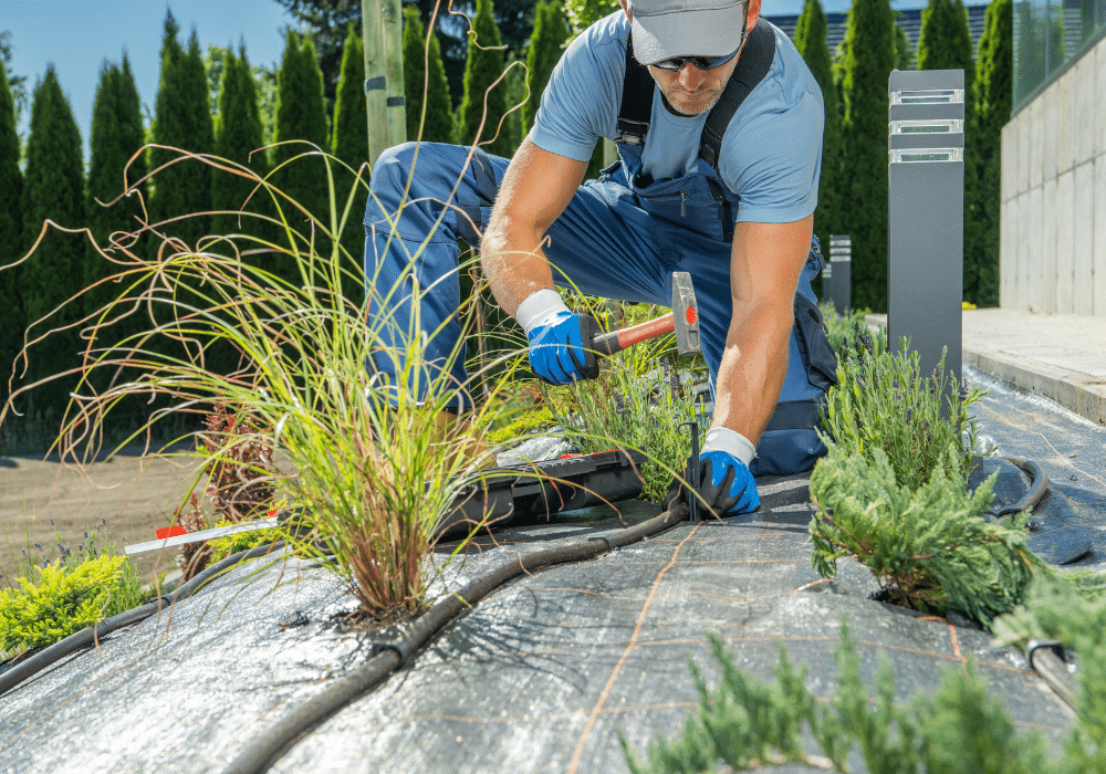 Water Wisely: The Benefits of Drip Irrigation Systems