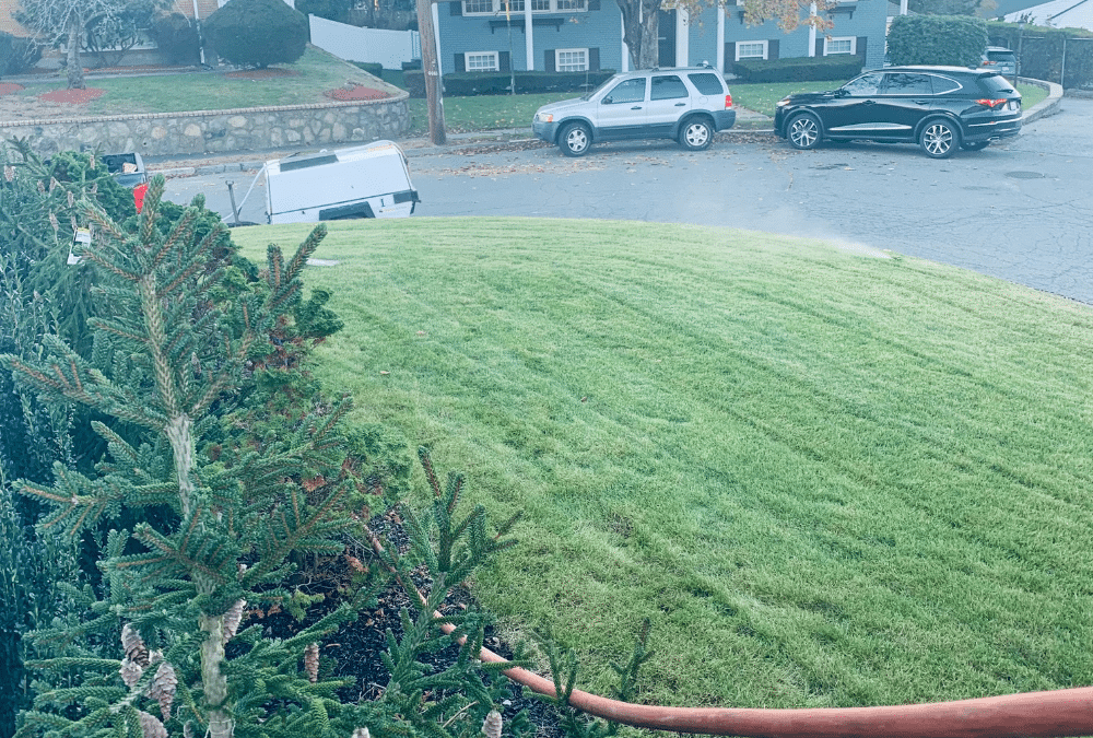 The Easiest Way to Find Irrigation System Winterization Services