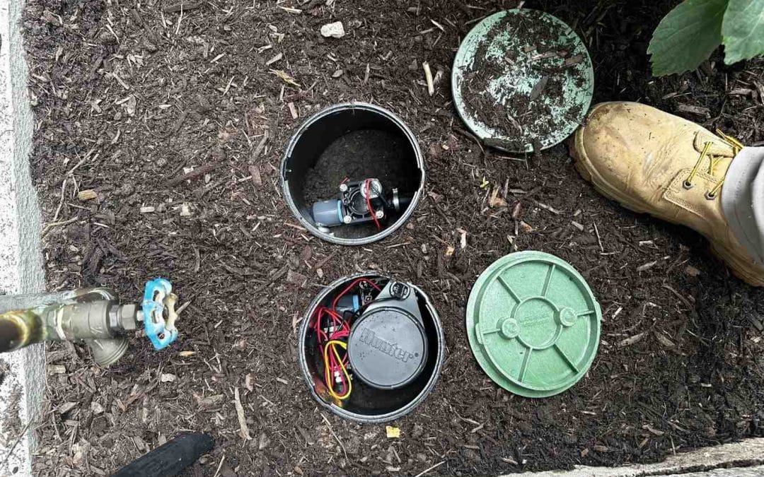 Blow Out Your Sprinklers for Winter: Easy DIY Steps