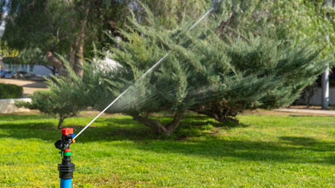 Sprinkler Savvy: Best DIY Systems for Your Lawn